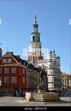 Blick auf das Rathaus auf dem Marktplatz Stary Rynek im Zentrum von Poznan - Polen. Stockfoto