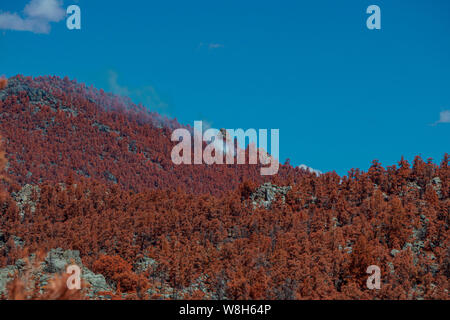 Rotbraune Bäume, Berg mit weißer Rauch nach oben steigt. Blue Sky. Stockfoto