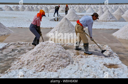 Chinesische Arbeiter Ernte getrocknet Salz in Yanchi Dorf, Gaotai County im Nordwesten der chinesischen Provinz Gansu, 24. August 2015. Stockfoto