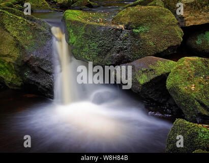 UK, Derbyshire, Peak District Padley Schlucht Wasserfälle im Sommer Stockfoto