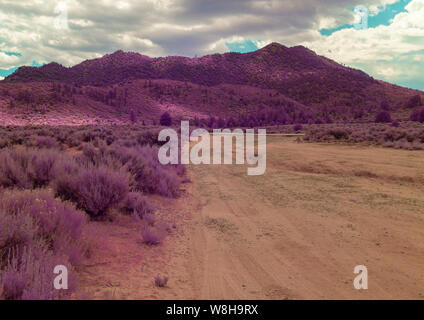 Unbefestigte Straße durch Frühling Felder und lila Vegetation in Richtung lila Berge laufen über unter strahlend blauen Himmel mit weißen Wolken. Stockfoto