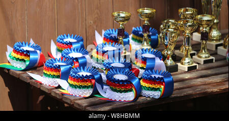Gruppe von Reiten Pferdesport Trophäen Abzeichen Rosetten an reiterfall Stockfoto