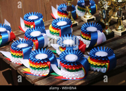 Gruppe von Reiten Pferdesport Trophäen Abzeichen Rosetten an reiterfall Stockfoto