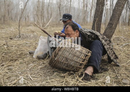 Armlose Chinese Jia Wenqi, Front und seinem blinden Freund Jia Haixia essen während einer Pause von Ihrem Baum einpflanzen in Yeli Dorf Essen, Jingxing county, Stockfoto