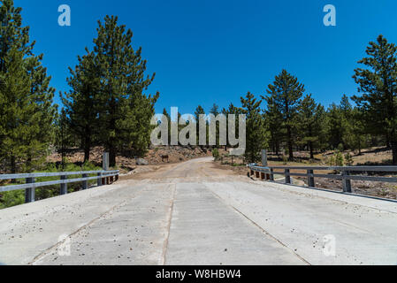 Zement Brücke mit Geländer führt zu unbefestigte Straße mit hohen Kiefern auf beiden Seiten unter strahlend blauen Himmel. Stockfoto