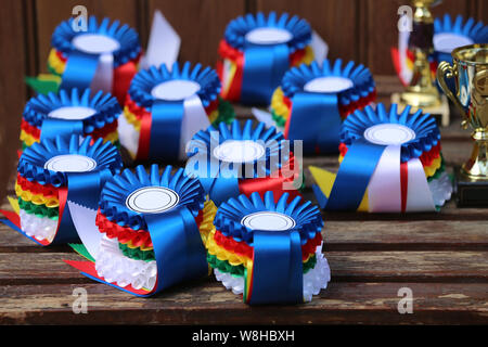 Gruppe von Reiten Pferdesport Trophäen Abzeichen Rosetten an reiterfall Stockfoto