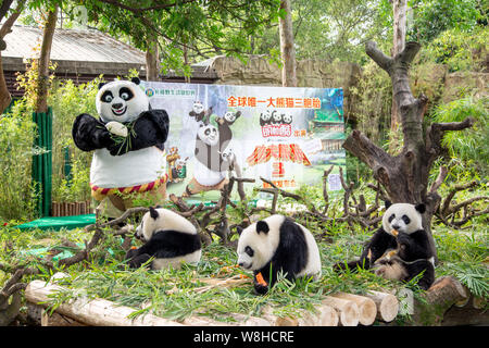 Die panda Drillinge Meng Meng, Shuai Shuai und Ku Ku essen Neben einem Entertainer als Po vor einem Plakat für den Film "Kung Fu Panda 3' gekleidet Stockfoto