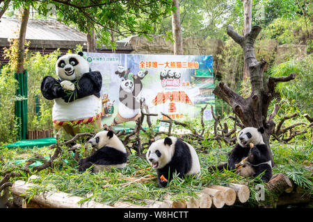 Die panda Drillinge Meng Meng, Shuai Shuai und Ku Ku essen Neben einem Entertainer als Po vor einem Plakat für den Film "Kung Fu Panda 3' gekleidet Stockfoto