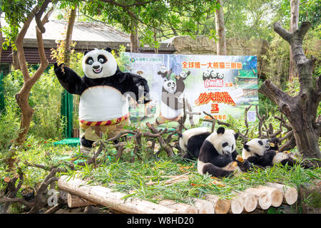 Die panda Drillinge Meng Meng, Shuai Shuai und Ku Ku essen Neben einem Entertainer als Po vor einem Plakat für den Film "Kung Fu Panda 3' gekleidet Stockfoto