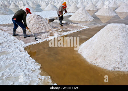 Chinesische Arbeiter Ernte getrocknet Salz in Yanchi Dorf, Gaotai County im Nordwesten der chinesischen Provinz Gansu, 24. August 2015. Stockfoto