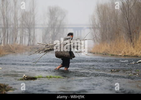 Armlose Chinese Jia Wenqi Durchführung einen Korb mit Niederlassungen geladen Spaziergänge über einen Fluss in Yeli Dorf, Jingxing County, Shijiazhuang Stadt,C Stockfoto