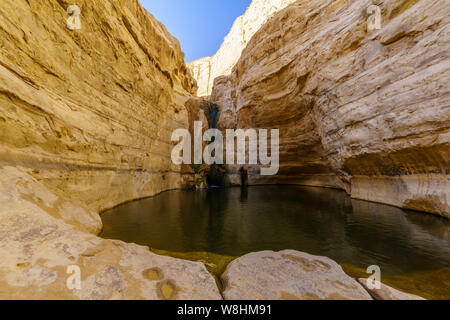 Aussicht auf den Canyon von Ein avdat Nationalpark, der Wüste Negev im Süden Israels Stockfoto