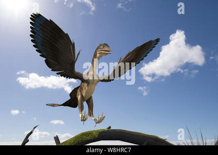 Archaeopteryx Dinosaurier, Illustration. Diese Vogel wie Dinosaurier vor 150 Millionen Jahren lebte während der späten Kreidezeit. Stockfoto