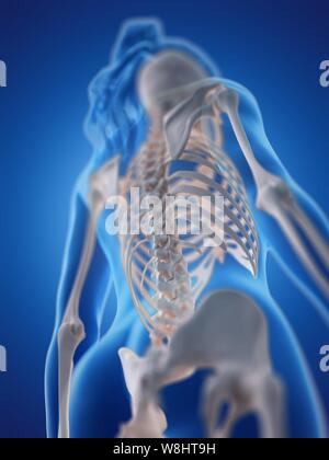 Wirbelsäule, computer Abbildung. Stockfoto