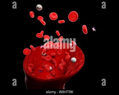 Blutgefäß, computer Abbildung. Stockfoto