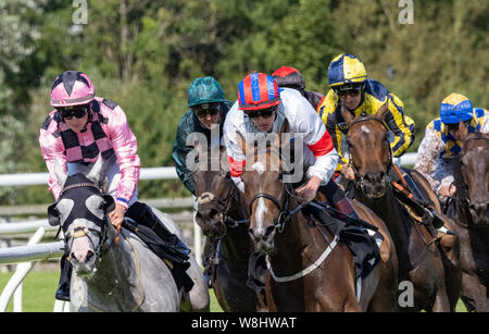 Die "glenrath Farms Archerfield Cup Handicap', Musselburgh, 9. August 2019. Joe Fanning (gelbe und blaue Ärmel) auf Gut Sonnenschein gewann das Rennen. Stockfoto