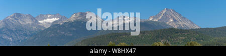 Panorama von schönen Bäumen und Wald in Whistler/Blackcomb, Wedgemont Berg und die singende Pass Berg in British Columbia, Kanada. Stockfoto