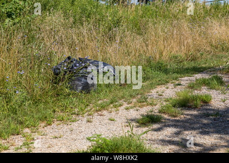 Schwarz Müll, Abfallbeutel im Graben entlang einer Landstraße gedumpten Stockfoto