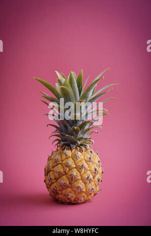Frische reife ganze Ananas fruite auf rosa Hintergrund Stockfoto