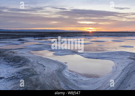 Alviso Salt Marshlands Stockfoto