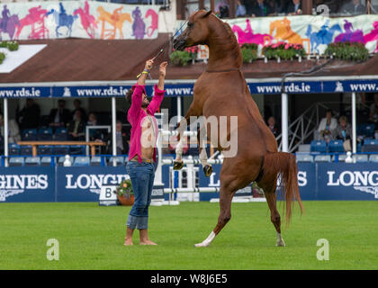 Dublin, Irland. 09 Aug, 2019. Santi Serra führt mit seiner Pferde an der Dublin Horse Show 2019 Quelle: John Rymer/Alamy leben Nachrichten Stockfoto