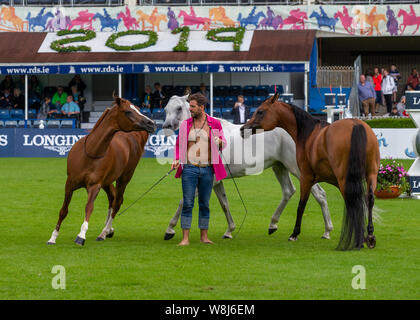 Dublin, Irland. 09 Aug, 2019. Santi Serra führt mit seiner Pferde an der Dublin Horse Show 2019 Quelle: John Rymer/Alamy leben Nachrichten Stockfoto