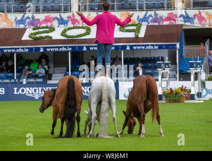 Dublin, Irland. 09 Aug, 2019. Santi Serra führt mit seiner Pferde an der Dublin Horse Show 2019 Quelle: John Rymer/Alamy leben Nachrichten Stockfoto