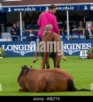 Dublin, Irland. 09 Aug, 2019. Santi Serra führt mit seiner Pferde an der Dublin Horse Show 2019 Quelle: John Rymer/Alamy leben Nachrichten Stockfoto