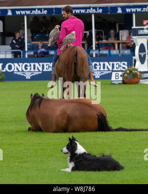 Dublin, Irland. 09 Aug, 2019. Santi Serra führt mit seiner Pferde an der Dublin Horse Show 2019 Quelle: John Rymer/Alamy leben Nachrichten Stockfoto