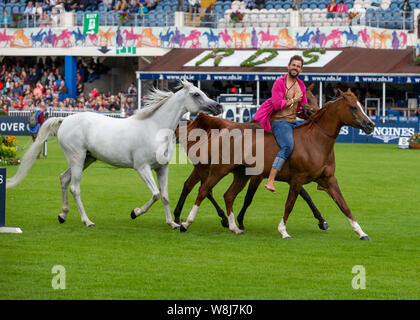 Dublin, Irland. 09 Aug, 2019. Santi Serra führt mit seiner Pferde an der Dublin Horse Show 2019 Quelle: John Rymer/Alamy leben Nachrichten Stockfoto