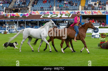 Dublin, Irland. 09 Aug, 2019. Santi Serra führt mit seiner Pferde an der Dublin Horse Show 2019 Quelle: John Rymer/Alamy leben Nachrichten Stockfoto