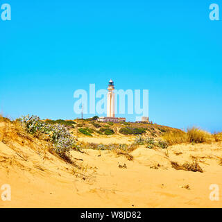 Das Cabo de Trafalgar Kap natürlichen Park mit dem berühmten Leuchtturm im Hintergrund. Barbate, Conil de la Frontera, Cadiz. Andalusien, Spanien. Stockfoto