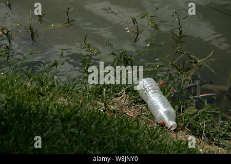 Kunststoffabfälle ist bis auf den See Ufer gespült. Eine Plastikflasche und Kunststoff Gabel Rest unter dem Gras. Stockfoto