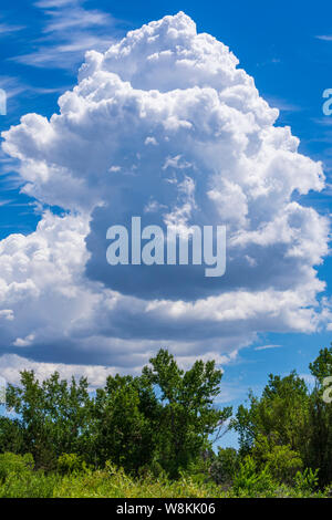 Afterrnoon thunderhead cloud Umformen in Clear Sky an heißen Sommertagen über Castle Rock Colorado USA. Foto im Juli genommen. Stockfoto