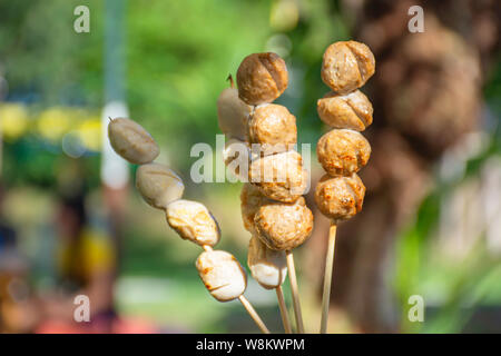 Hand mit gegrilltem Schweinefleisch und Rindfleisch Frikadellen mit Seafood Soße Hintergrund verschwommen Baum. Stockfoto