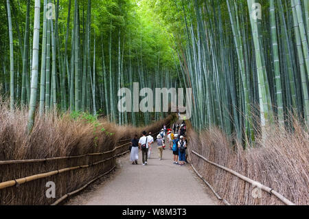 Arashiyama Bamboo Grove auch als Sagano Bambus Wald im Westen von Kyoto, Japan bekannt. Stockfoto