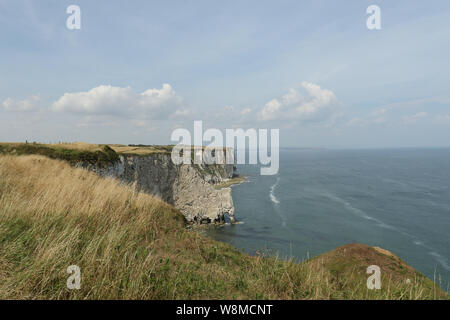 Eine Landschaft von Bempton Cliffs in Yorkshire, UK, wo Tausende von Seevögeln auf den Klippen brüten. Stockfoto