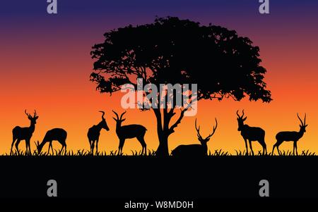 Wilde Tiere schwarze Silhouetten, Vector Illustration isoliert auf Sonnenuntergang Stock Vektor