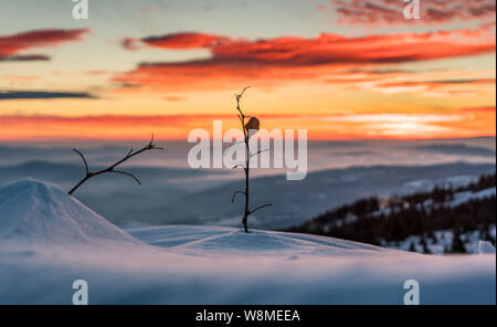 Brillante Winterlandschaft - amazing gefrorene Landschaft auf einem Berg in Bulgarien - lebendige Farben, unberührte Natur - eindrucksvolle Zusammensetzung Stockfoto