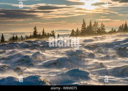 Brillante Winterlandschaft - amazing gefrorene Landschaft auf einem Berg in Bulgarien - lebendige Farben, unberührte Natur - eindrucksvolle Zusammensetzung Stockfoto
