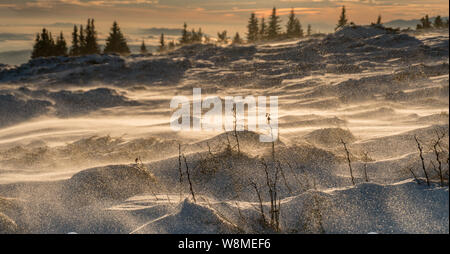 Brillante Winterlandschaft - amazing gefrorene Landschaft auf einem Berg in Bulgarien - lebendige Farben, unberührte Natur - eindrucksvolle Zusammensetzung Stockfoto