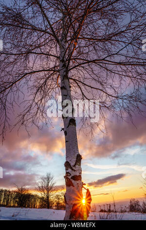Brillante Winterlandschaft - amazing gefrorene Landschaft auf einem Berg in Bulgarien - lebendige Farben, unberührte Natur - eindrucksvolle Zusammensetzung Stockfoto