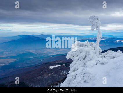 Brillante Winterlandschaft - amazing gefrorene Landschaft auf einem Berg in Bulgarien - lebendige Farben, unberührte Natur - eindrucksvolle Zusammensetzung Stockfoto