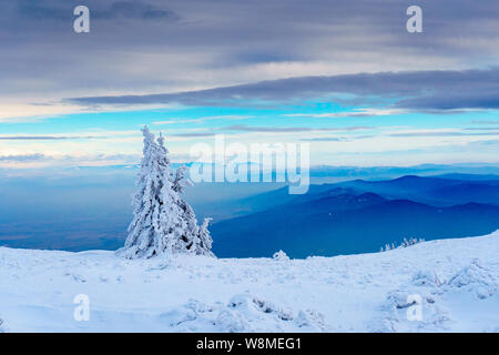 Brillante Winterlandschaft - amazing gefrorene Landschaft auf einem Berg in Bulgarien - lebendige Farben, unberührte Natur - eindrucksvolle Zusammensetzung Stockfoto