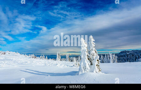 Brillante Winterlandschaft - amazing gefrorene Landschaft auf einem Berg in Bulgarien - lebendige Farben, unberührte Natur - eindrucksvolle Zusammensetzung Stockfoto
