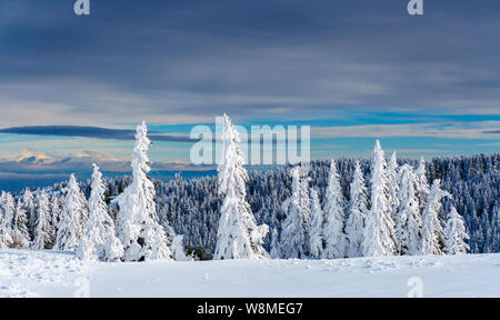 Brillante Winterlandschaft - amazing gefrorene Landschaft auf einem Berg in Bulgarien - lebendige Farben, unberührte Natur - eindrucksvolle Zusammensetzung Stockfoto