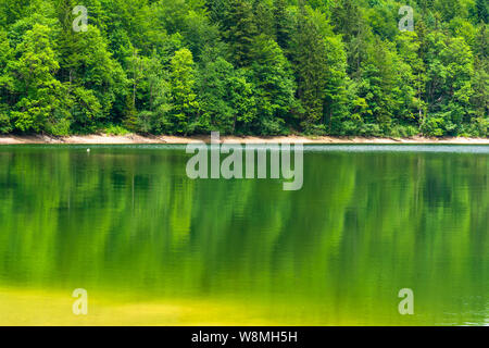 Nussensee See in Oberösterreich in der Nähe von Bad Ischl im Salzkammergut. Stockfoto