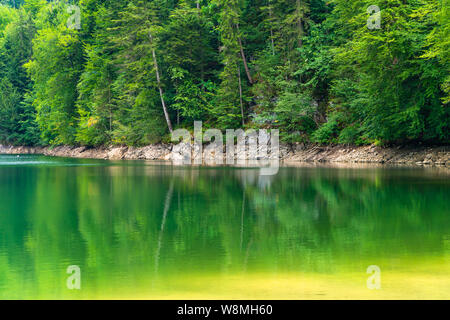 Nussensee See in Oberösterreich in der Nähe von Bad Ischl im Salzkammergut. Stockfoto