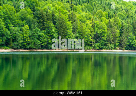 Nussensee See in Oberösterreich in der Nähe von Bad Ischl im Salzkammergut. Stockfoto