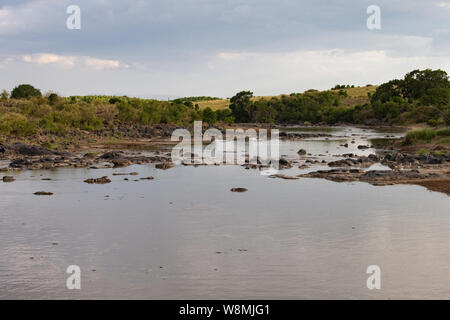 Panorama des Masai Mara Flusses, bevor die Wanderherden auftauchen, Kenia Stockfoto